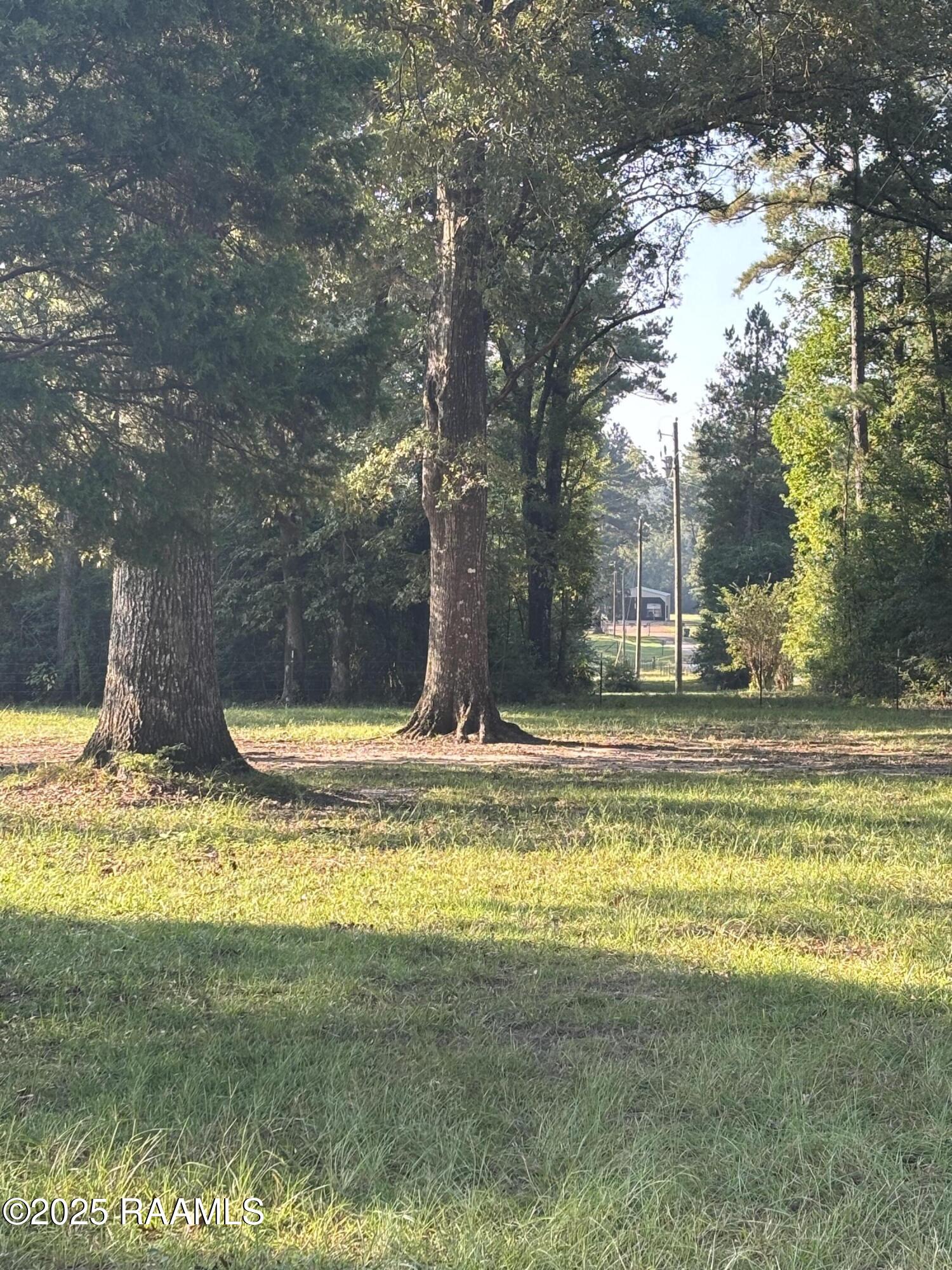 399 Ahtus Melder Road Forest Hill, LA 71430 - Photo 15 of 19
