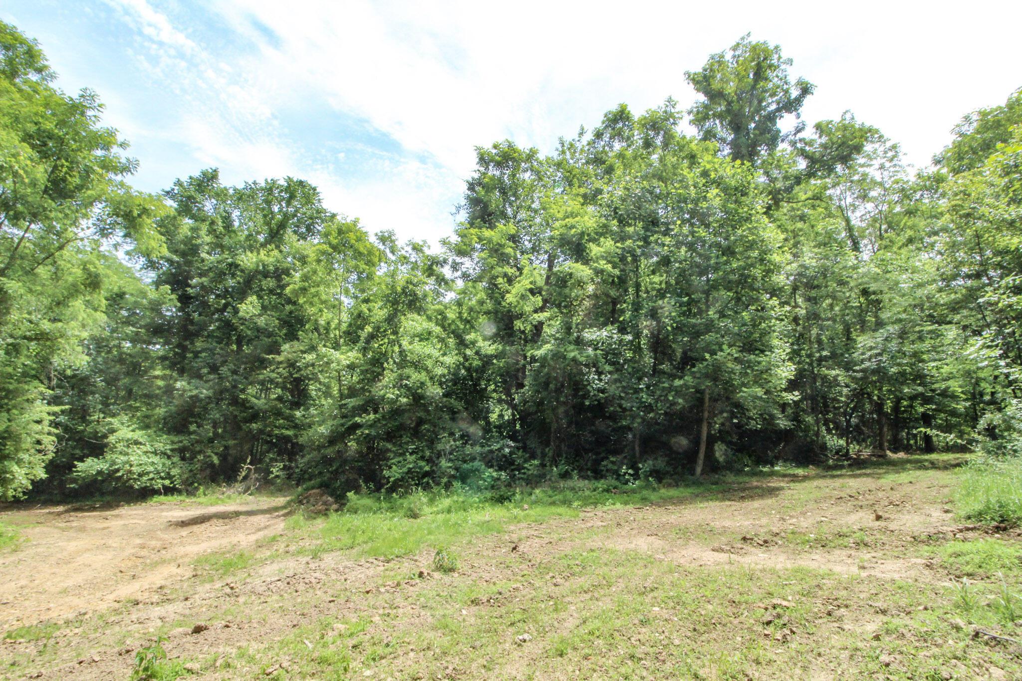 Lot 1 Mulberry Road Mount Perry, OH 43760 - Photo 22 of 31 23-IMG_8669