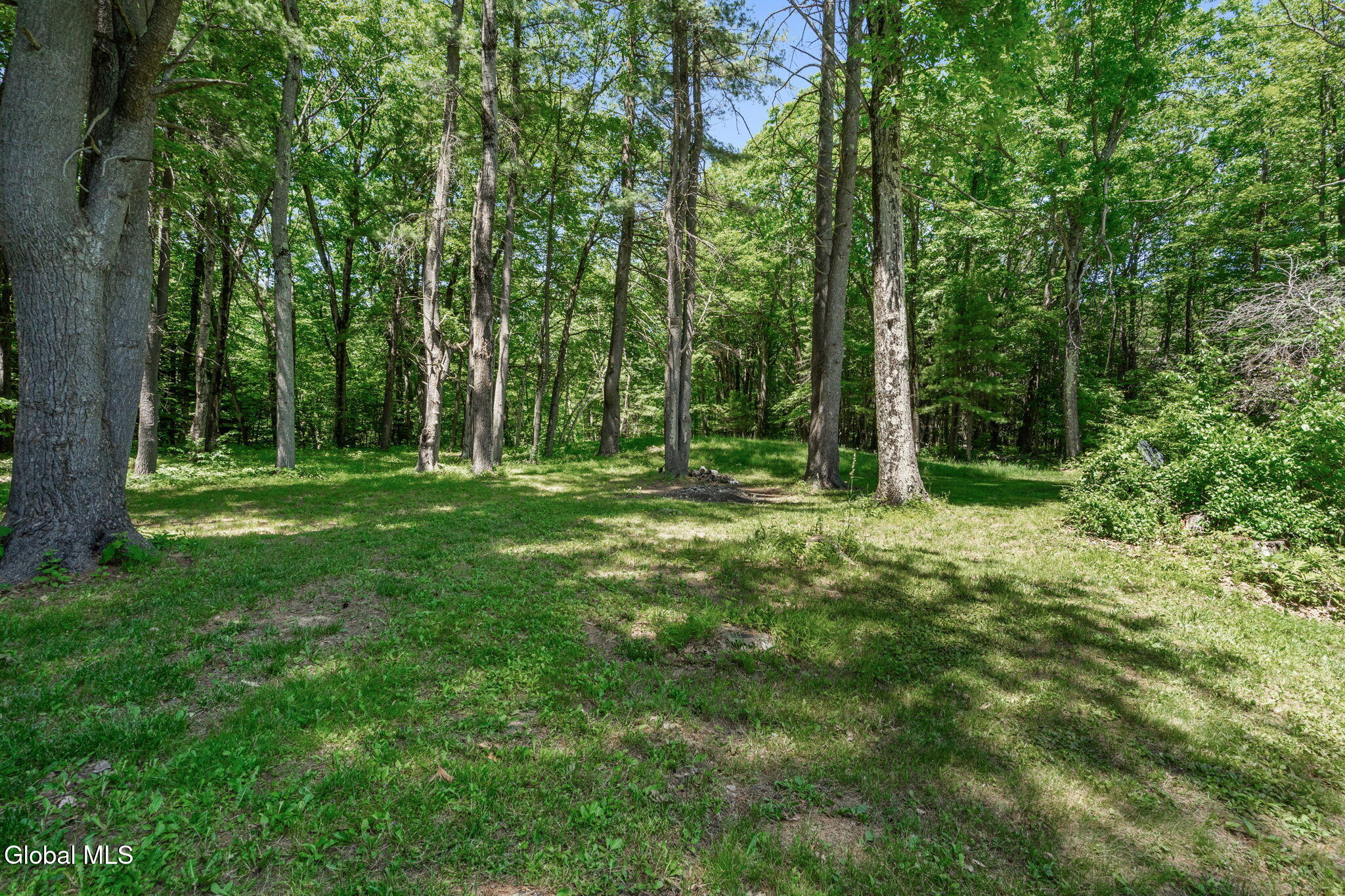 1130 Sanders Road Glenville, NY 12302 - Photo 44 of 48 44-web-or-mls-1130-sanders-rd
