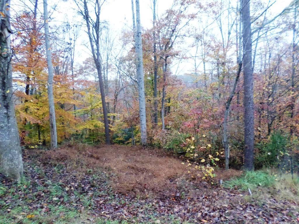 232 Freeman Ridge Trail Pilot Mountain, NC 27041 - Photo 14 of 15 Gallery Image 14