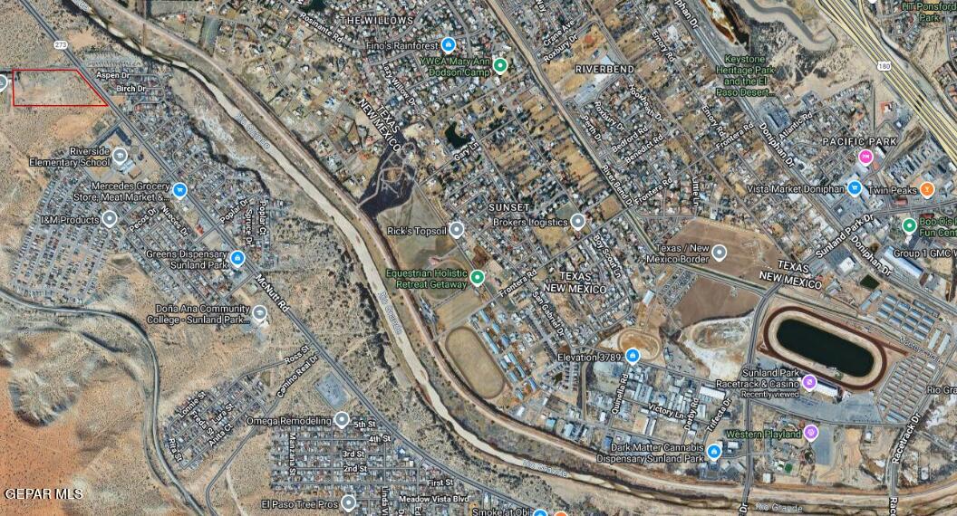 3061 Memorial Pines Road Sunland Park, NM 88063 - Photo 3 of 7 a vase of flowers sitting on a table