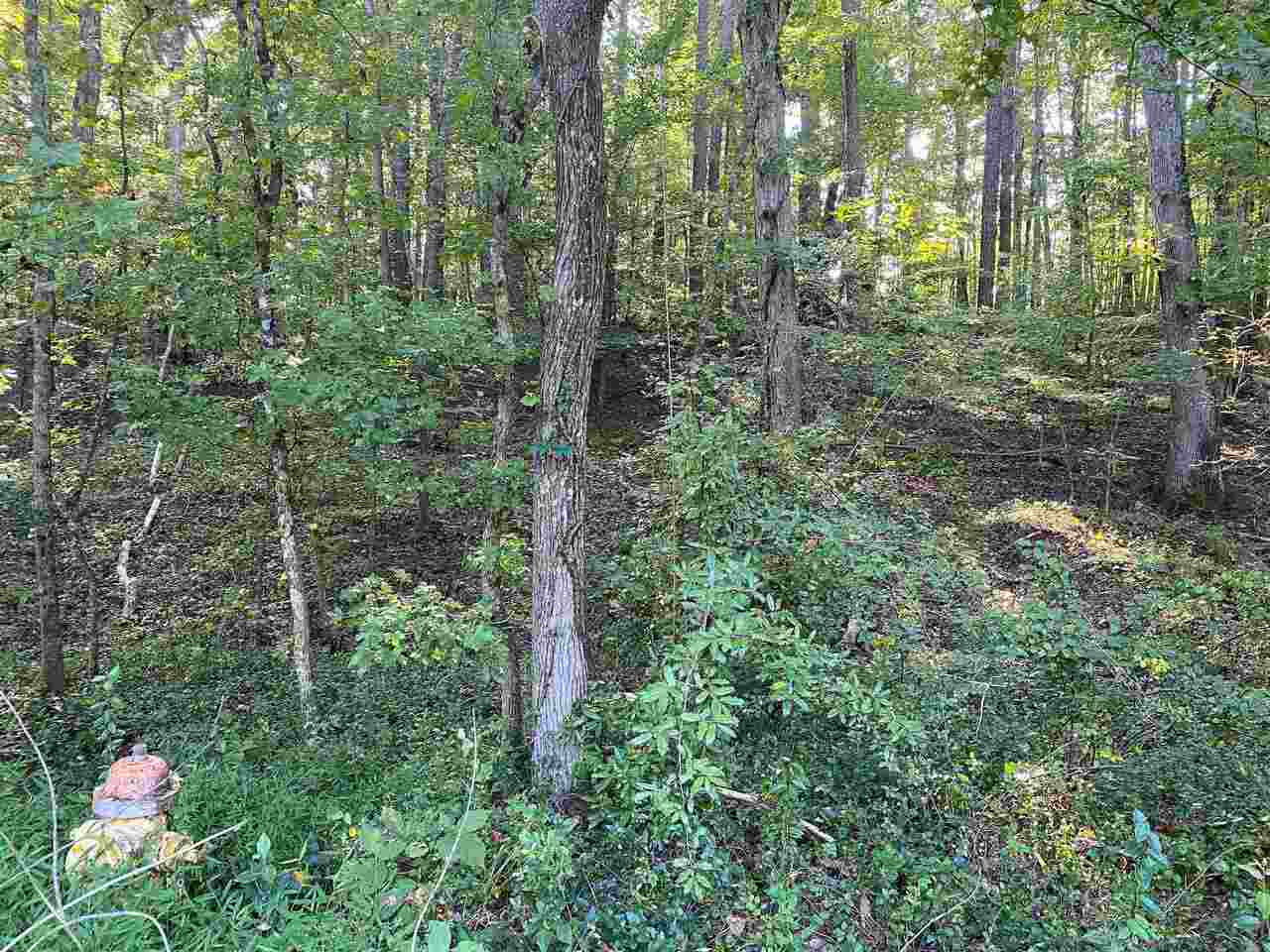 0 River Lane Southwest Rome, GA 30165 - Photo 1 of 1 a view of a forest with a tree