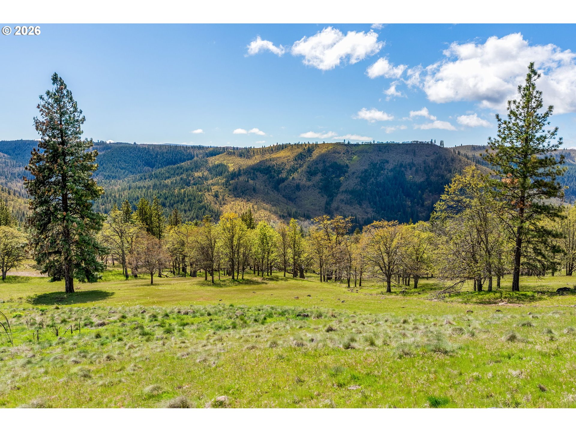 115 Wahkiacus Heights Road Wahkiacus, WA 98670 - Photo 34 of 48