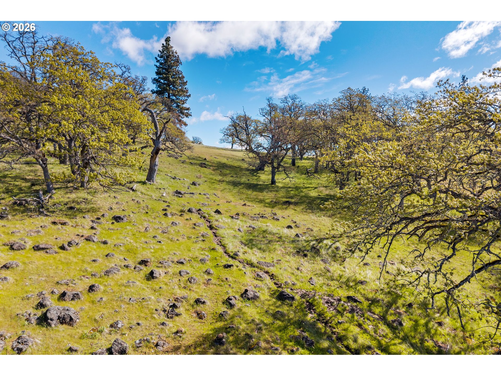 115 Wahkiacus Heights Road Wahkiacus, WA 98670 - Photo 41 of 48