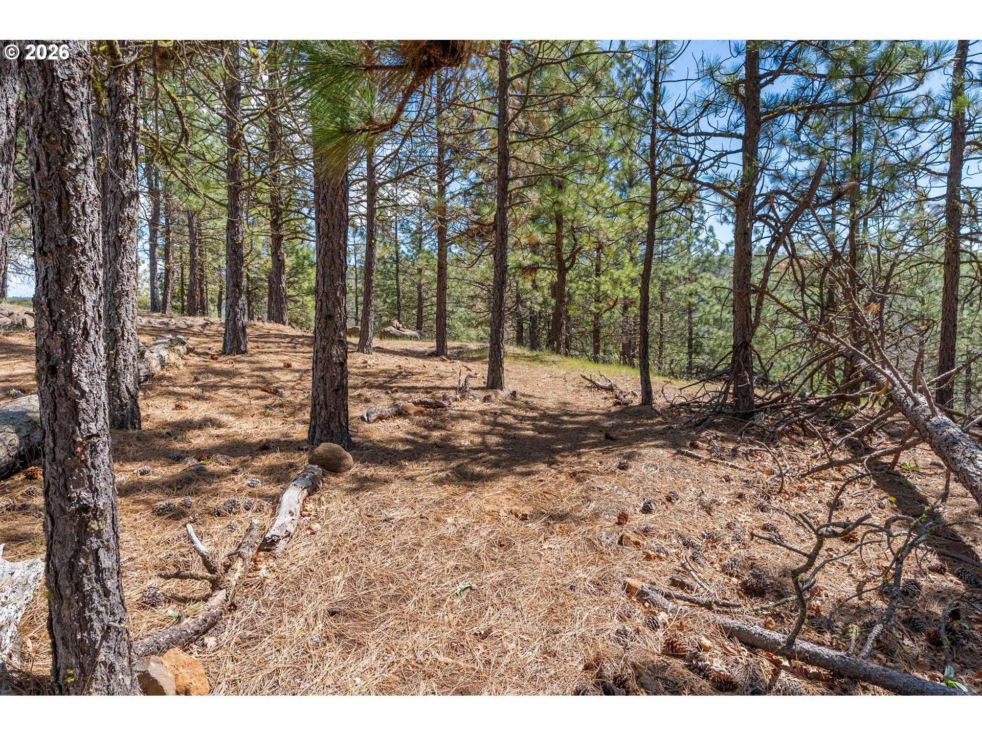 115 Wahkiacus Heights Road Wahkiacus, WA 98670 - Photo 43 of 48