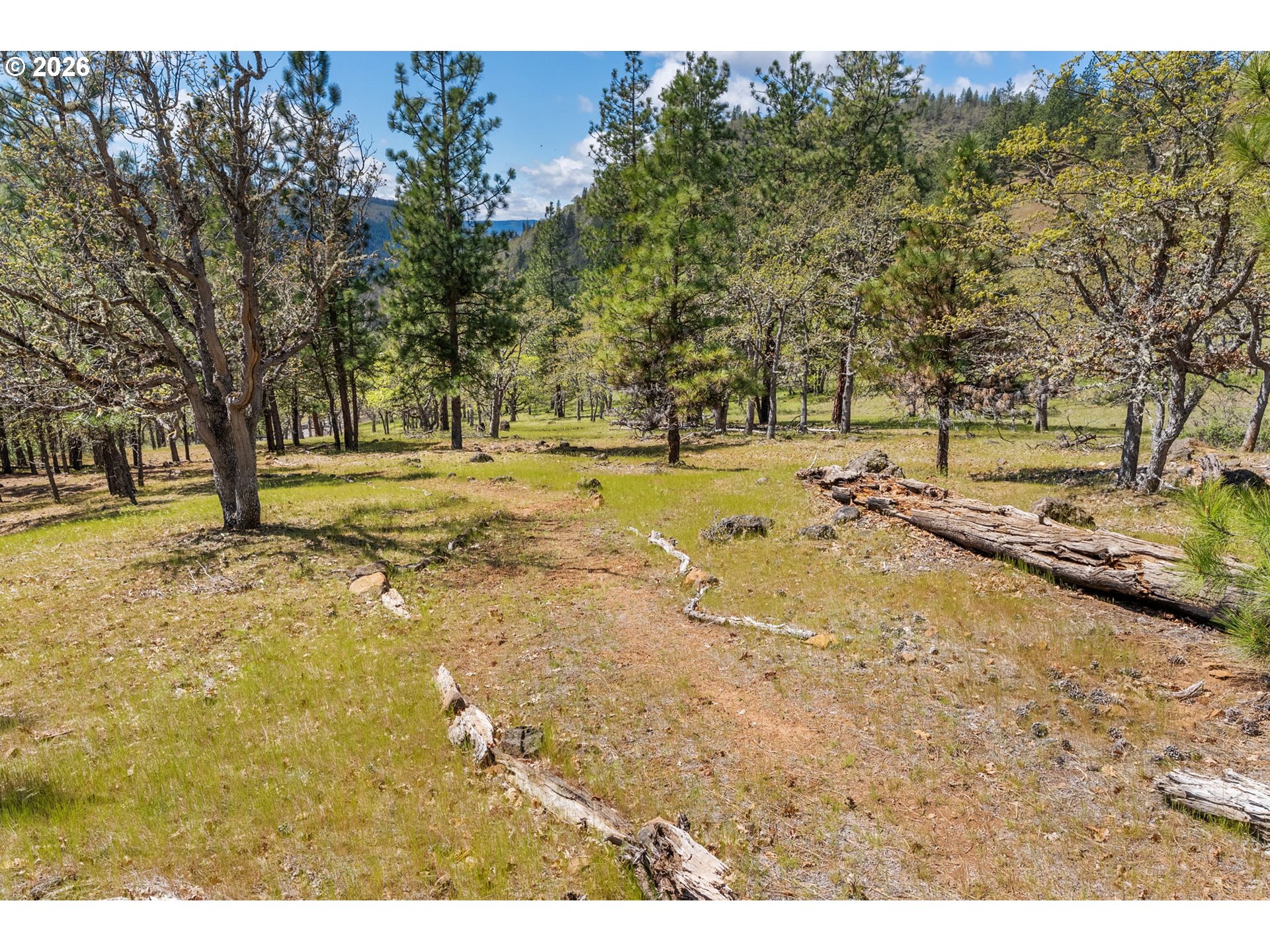 115 Wahkiacus Heights Road Wahkiacus, WA 98670 - Photo 44 of 48