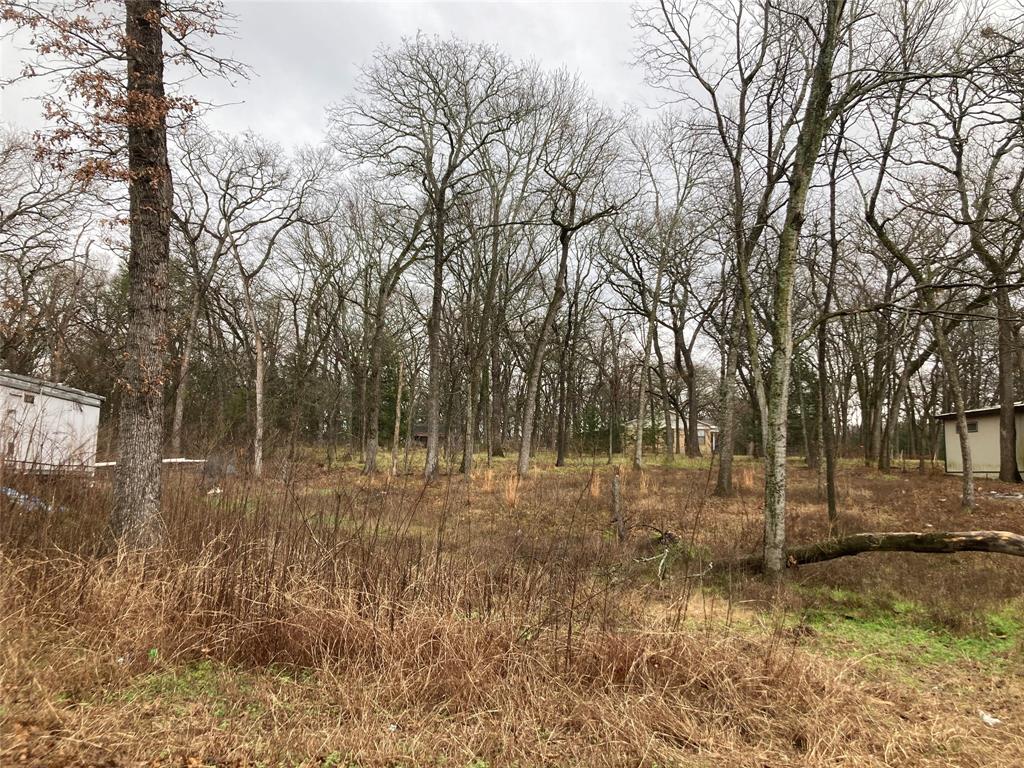 a view of a field with trees in the background