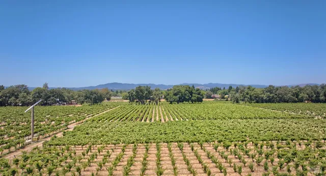 $8,000,000 | 179 Pleasant Avenue, Windsor, CA 95492