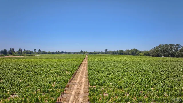 $8,000,000 | 179 Pleasant Avenue, Windsor, CA 95492