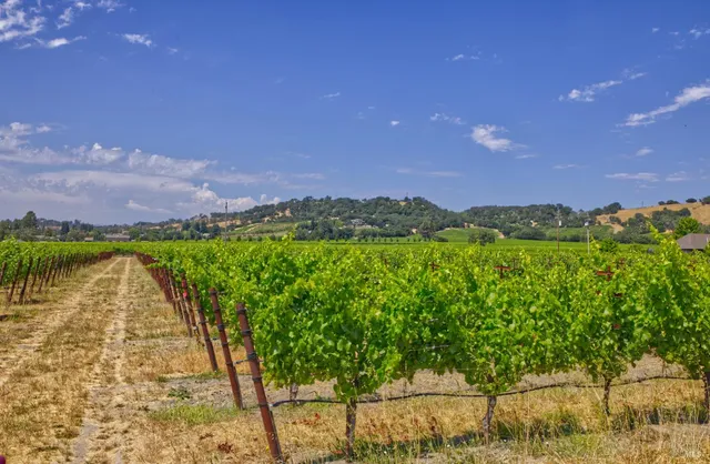 $8,000,000 | 179 Pleasant Avenue, Windsor, CA 95492