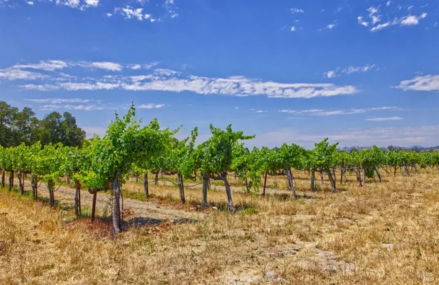 $8,000,000 | 179 Pleasant Avenue, Windsor, CA 95492