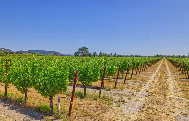 $8,000,000 | 179 Pleasant Avenue, Windsor, CA 95492