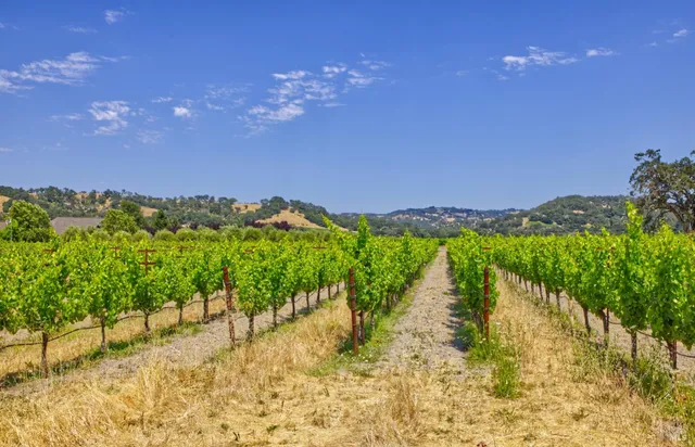 $8,000,000 | 179 Pleasant Avenue, Windsor, CA 95492