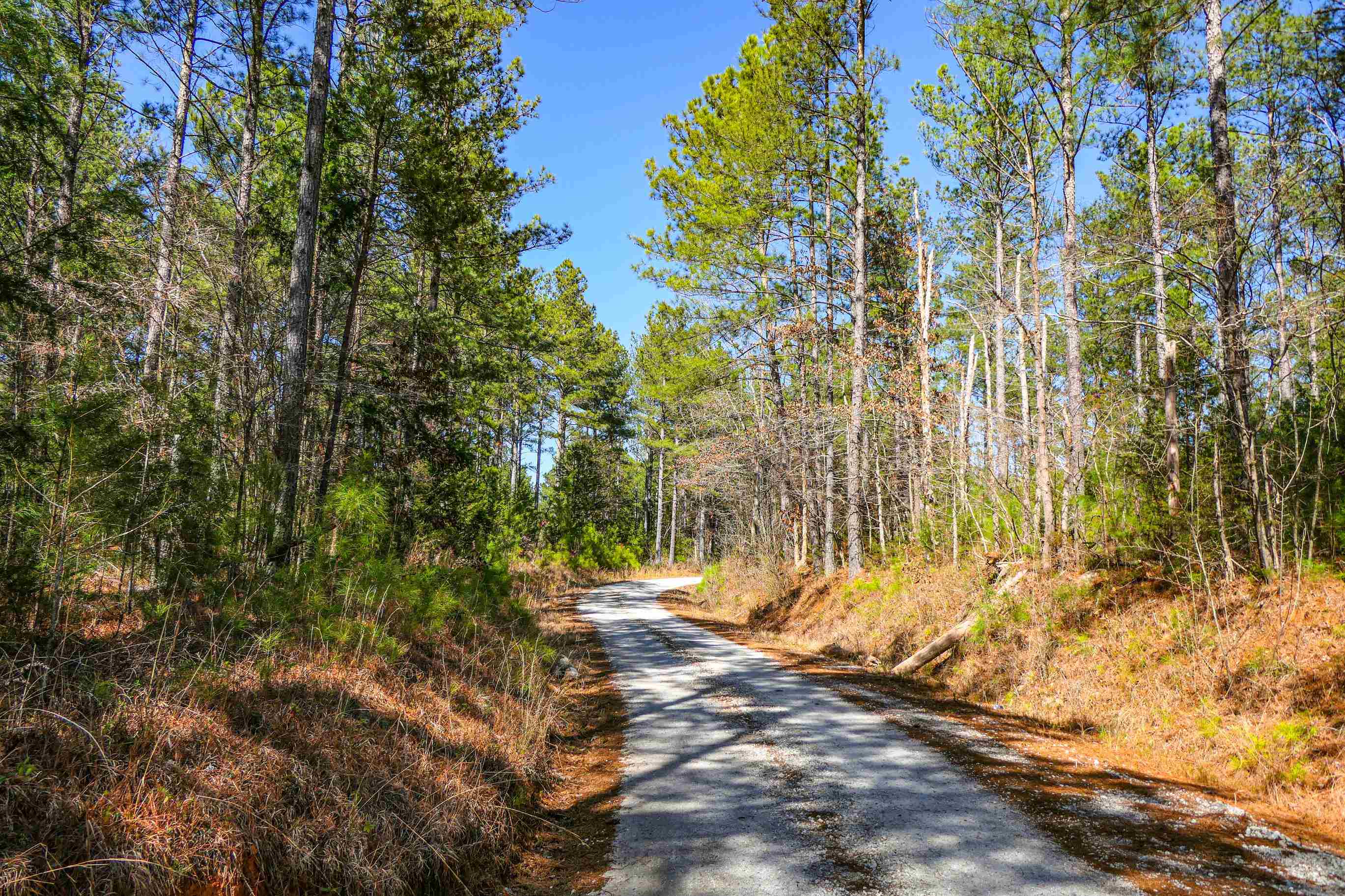 429 Dawkins Road Pacolet, SC 29372 - Photo 6 of 9