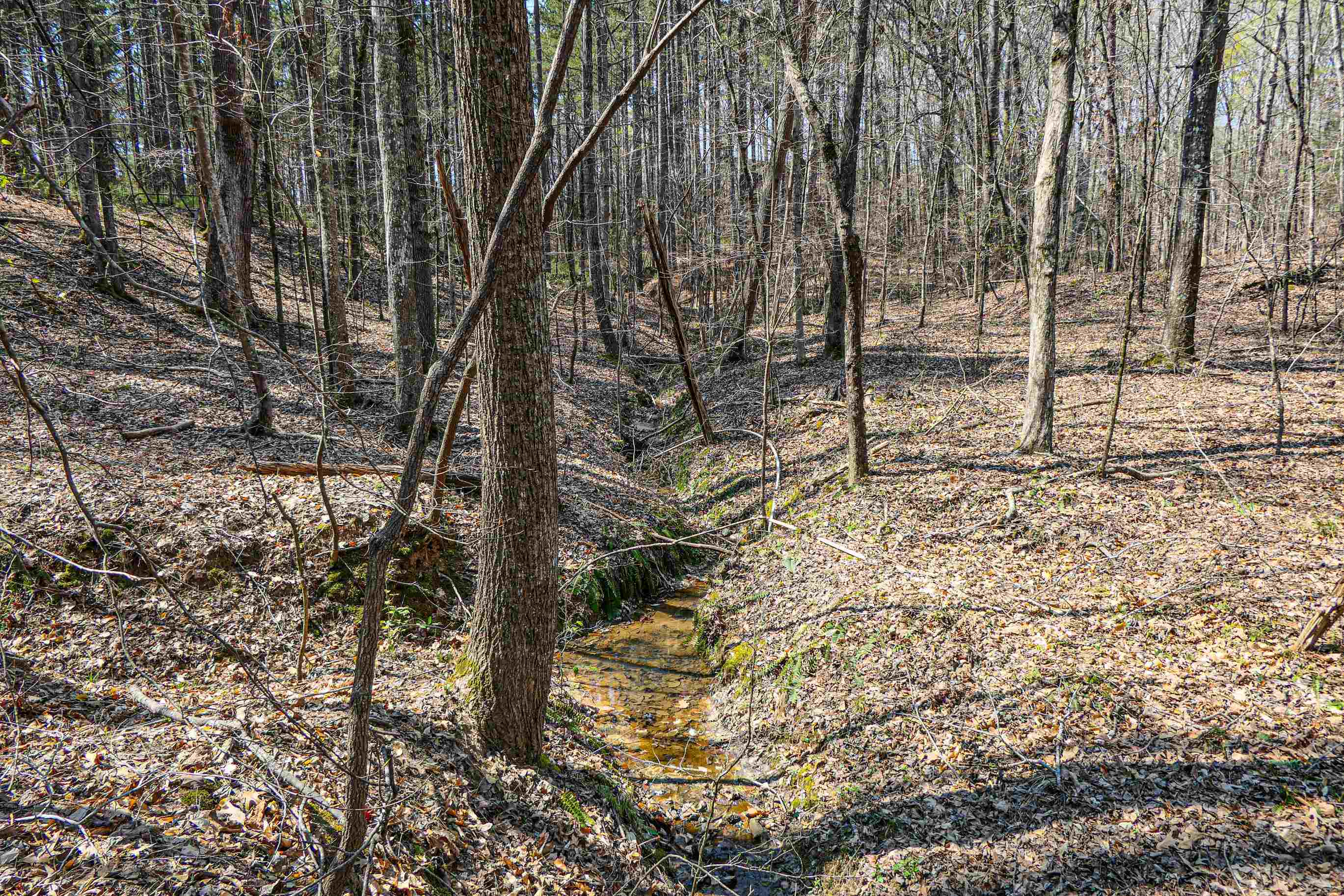 429 Dawkins Road Pacolet, SC 29372 - Photo 7 of 9