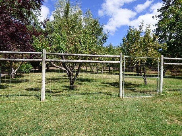 705 Missouri Flat Road Grants Pass, OR 97527 - Photo 34 of 35 Orchard. The whole property is thoughtf