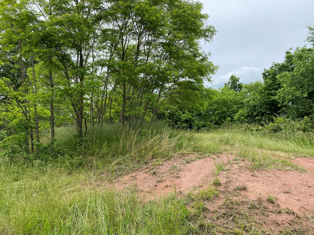 Tbd Hawthorne Holw Road Rural Retreat, VA 24368 - Photo 1 of 10 Gallery Image 1