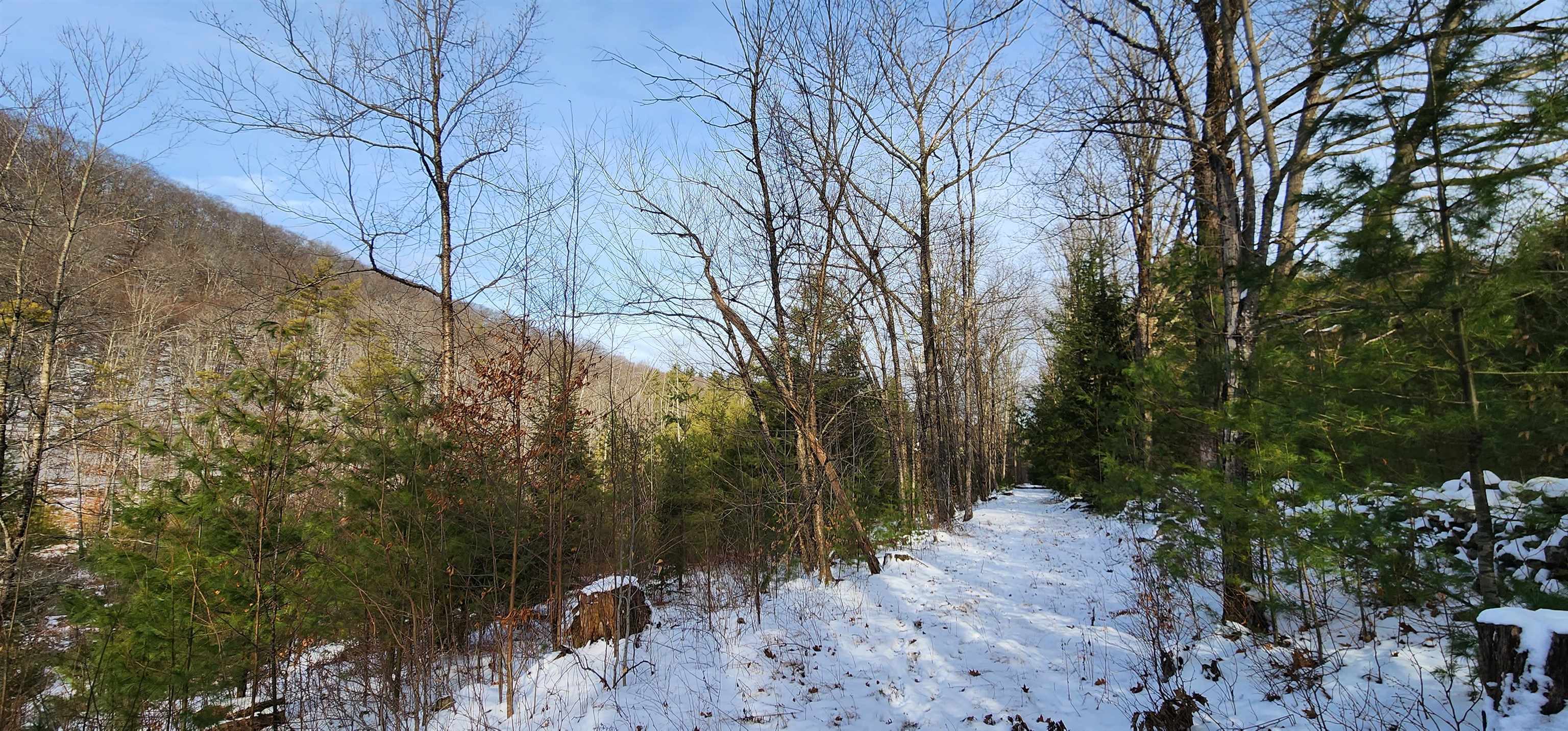 413 Sugarbush Road Chester, VT 05143 - Photo 12 of 35