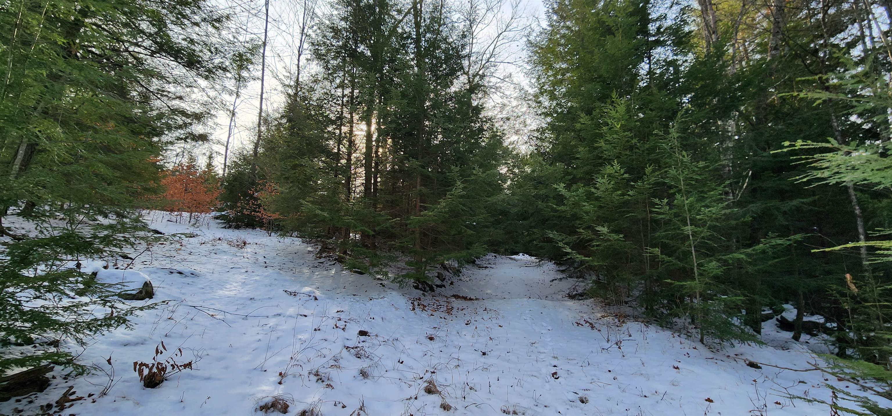 413 Sugarbush Road Chester, VT 05143 - Photo 13 of 35