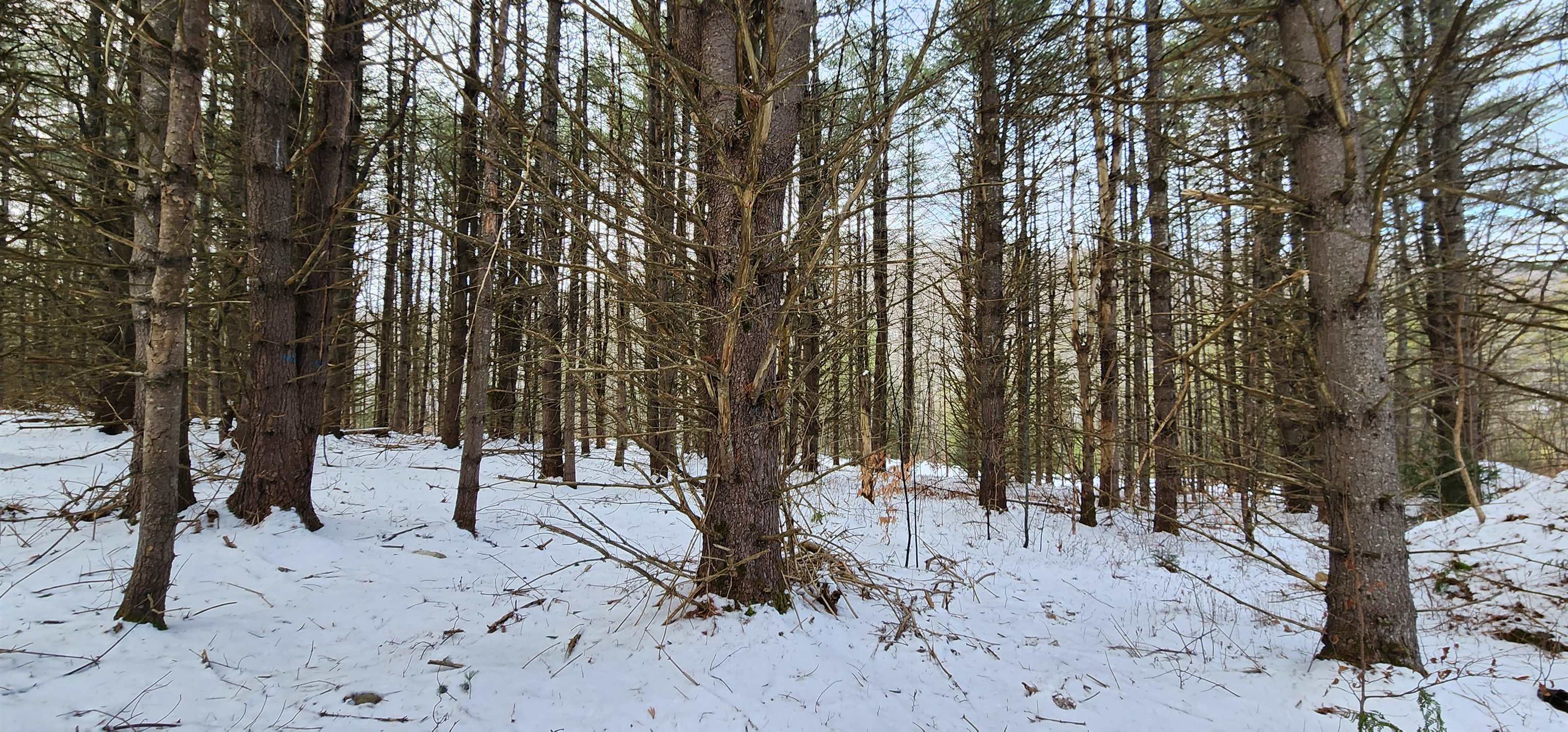 413 Sugarbush Road Chester, VT 05143 - Photo 18 of 35