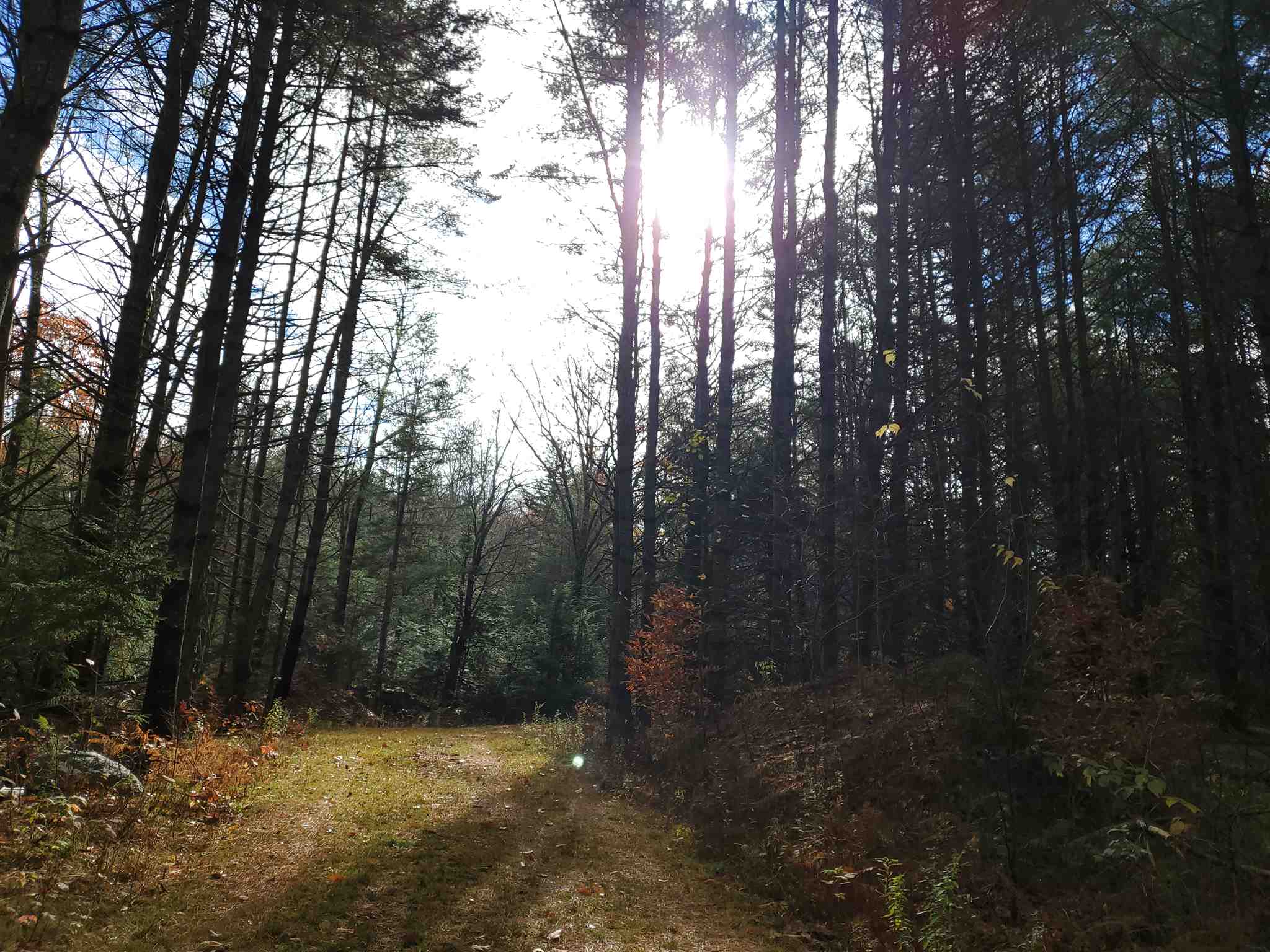 413 Sugarbush Road Chester, VT 05143 - Photo 25 of 35