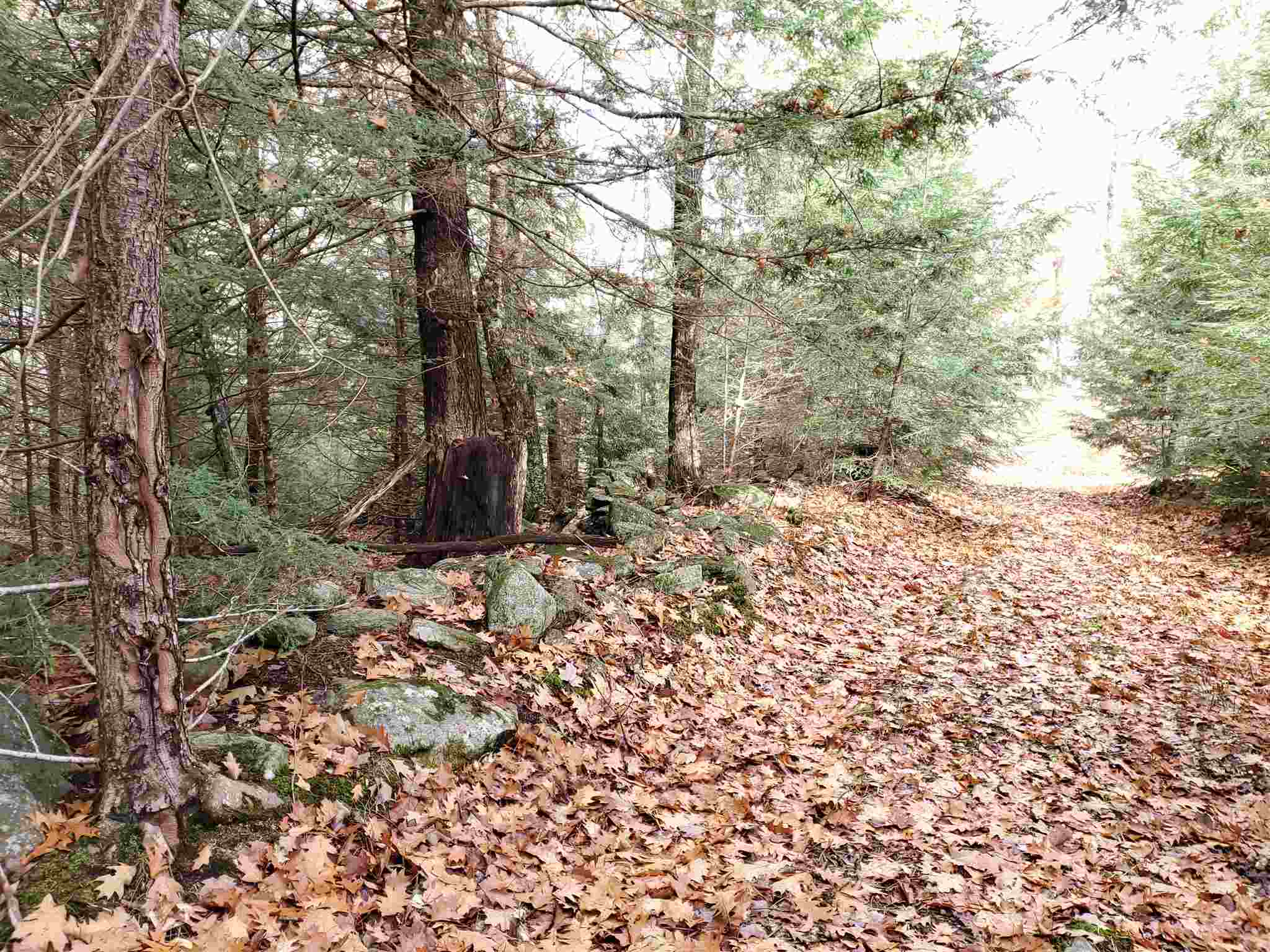 413 Sugarbush Road Chester, VT 05143 - Photo 29 of 35