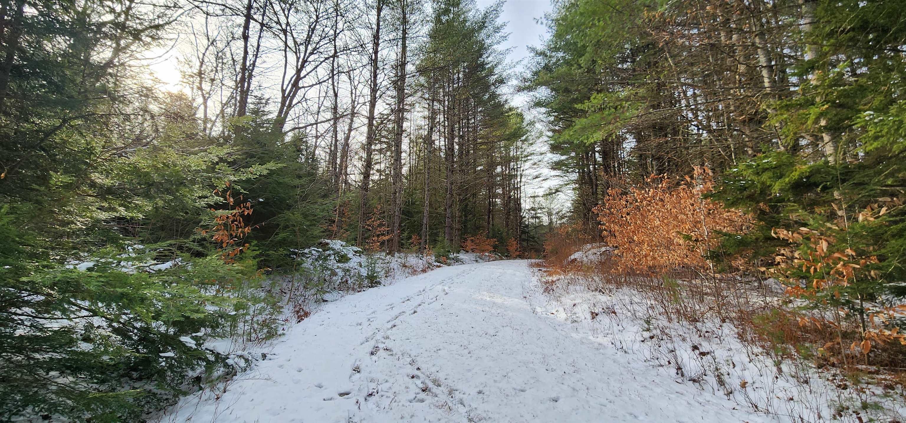 413 Sugarbush Road Chester, VT 05143 - Photo 5 of 35