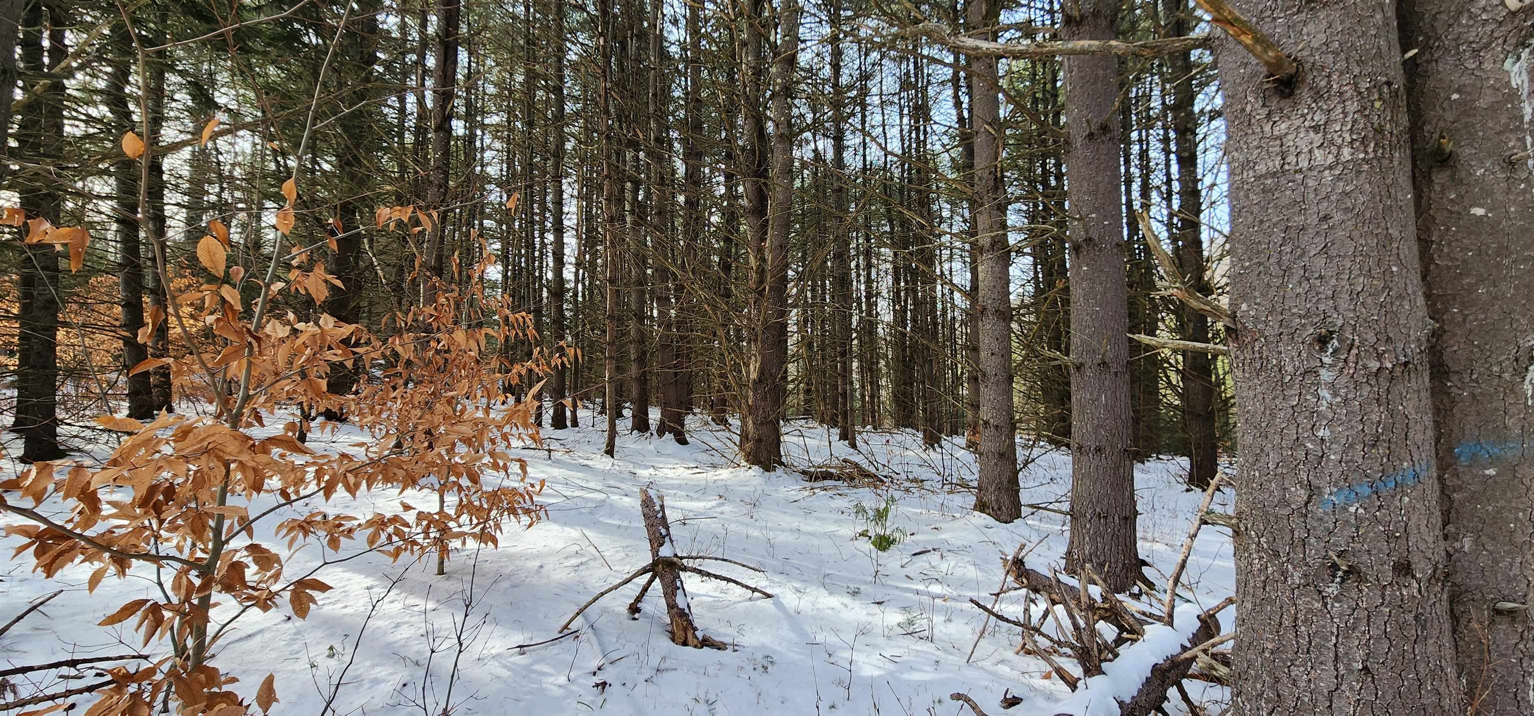 413 Sugarbush Road Chester, VT 05143 - Photo 6 of 35