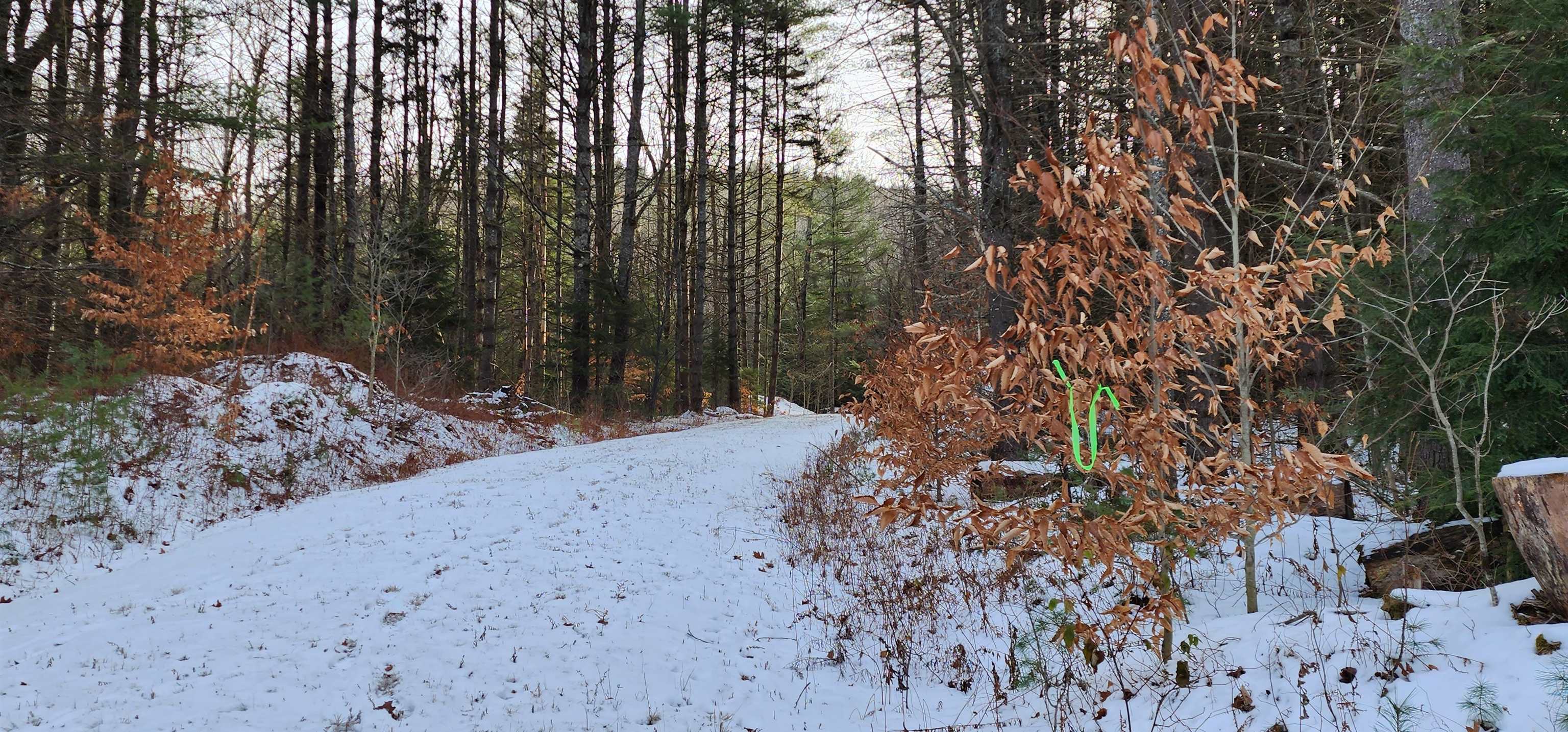 413 Sugarbush Road Chester, VT 05143 - Photo 9 of 35