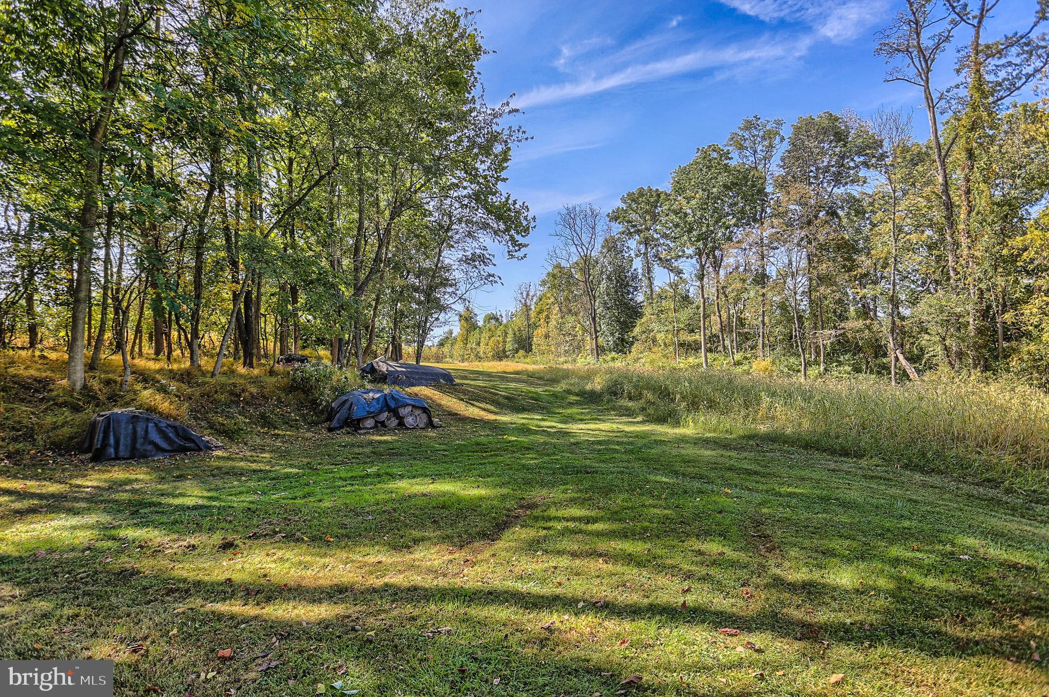 867 Old Forge Road New Cumberland, PA 17070 - Photo 35 of 46 Gallery Image 35