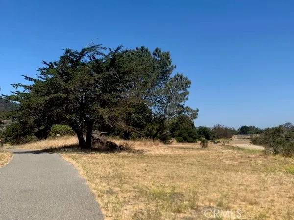 a view of a pathway