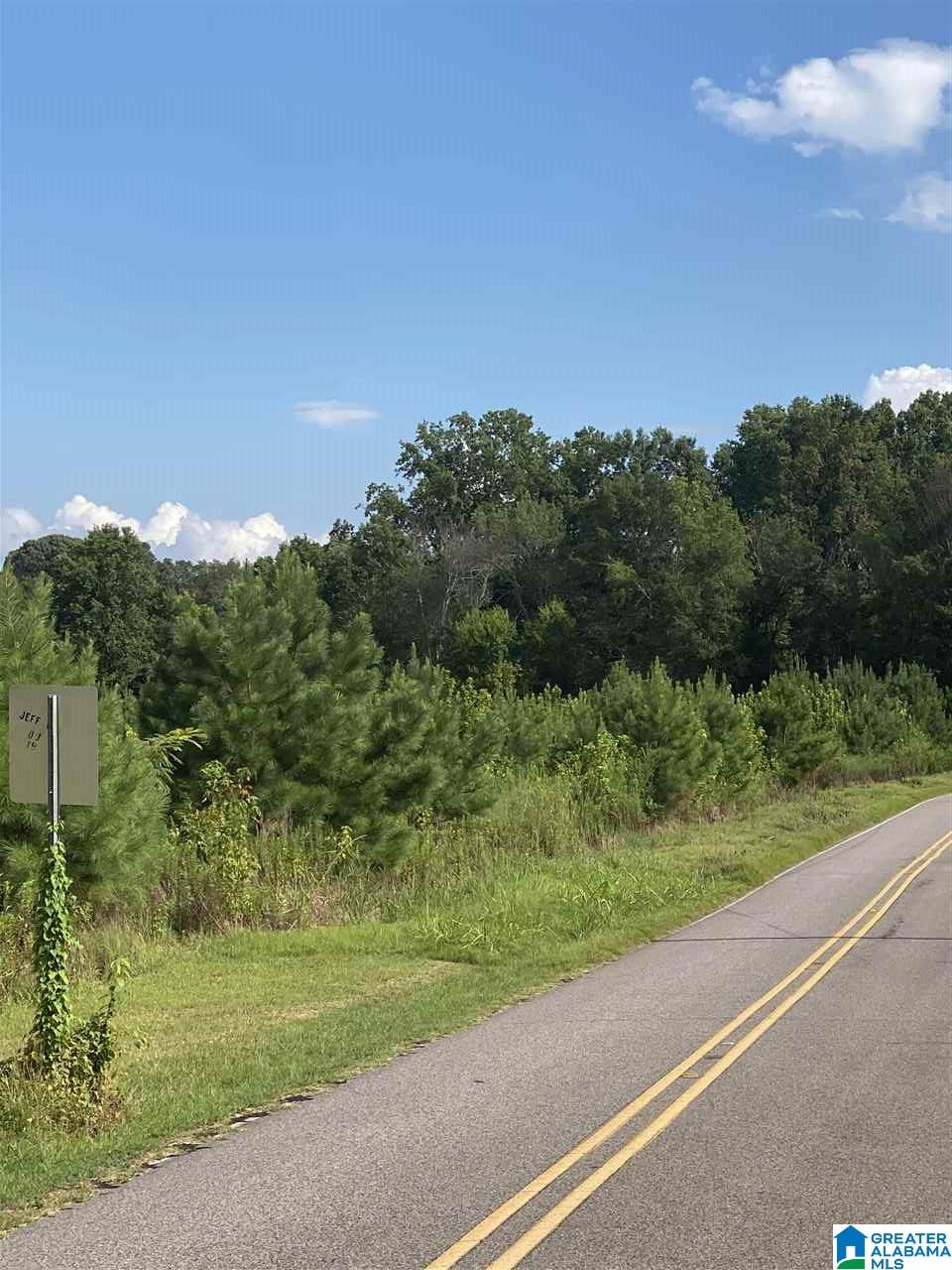 Corner School Road Warrior, AL 35180 - Photo 8 of 11