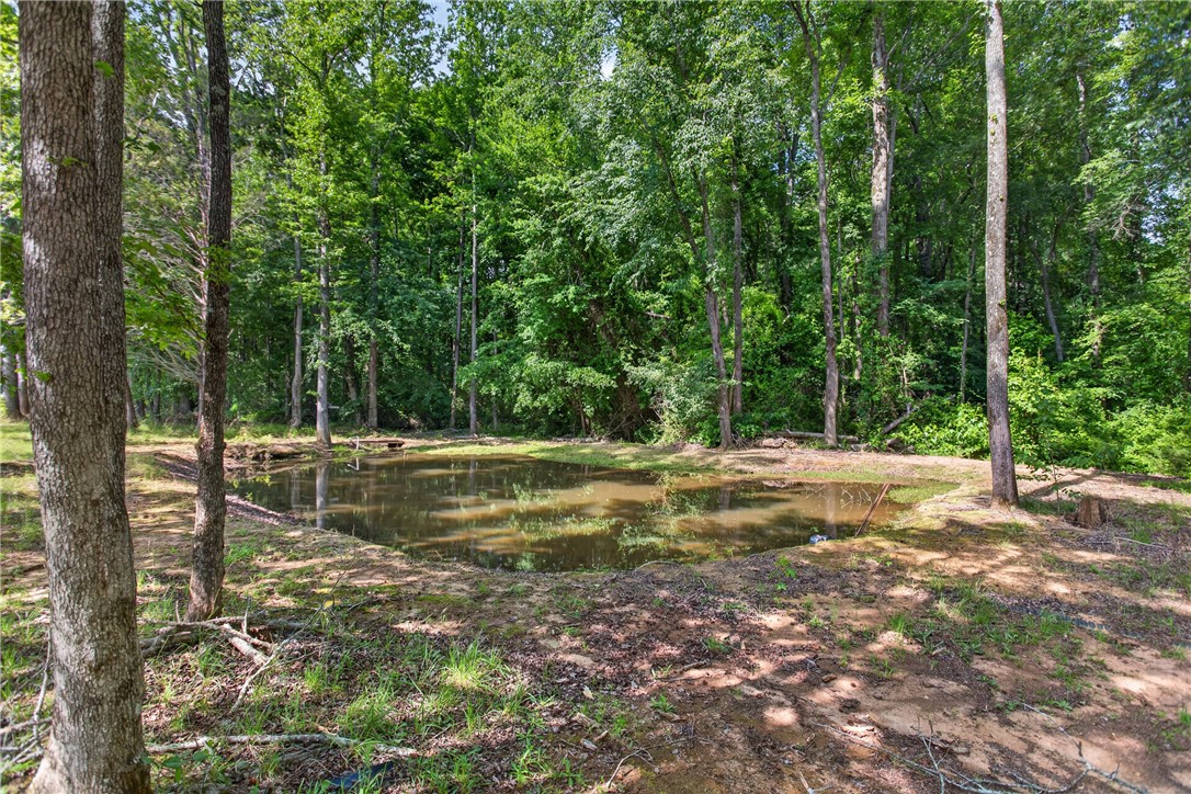 145 State Rd S-4-935 Pendleton, SC 29670 - Photo 38 of 47 A tranquil pond nestled amongst a verdant forest of mature trees, offering a peaceful natural escape.