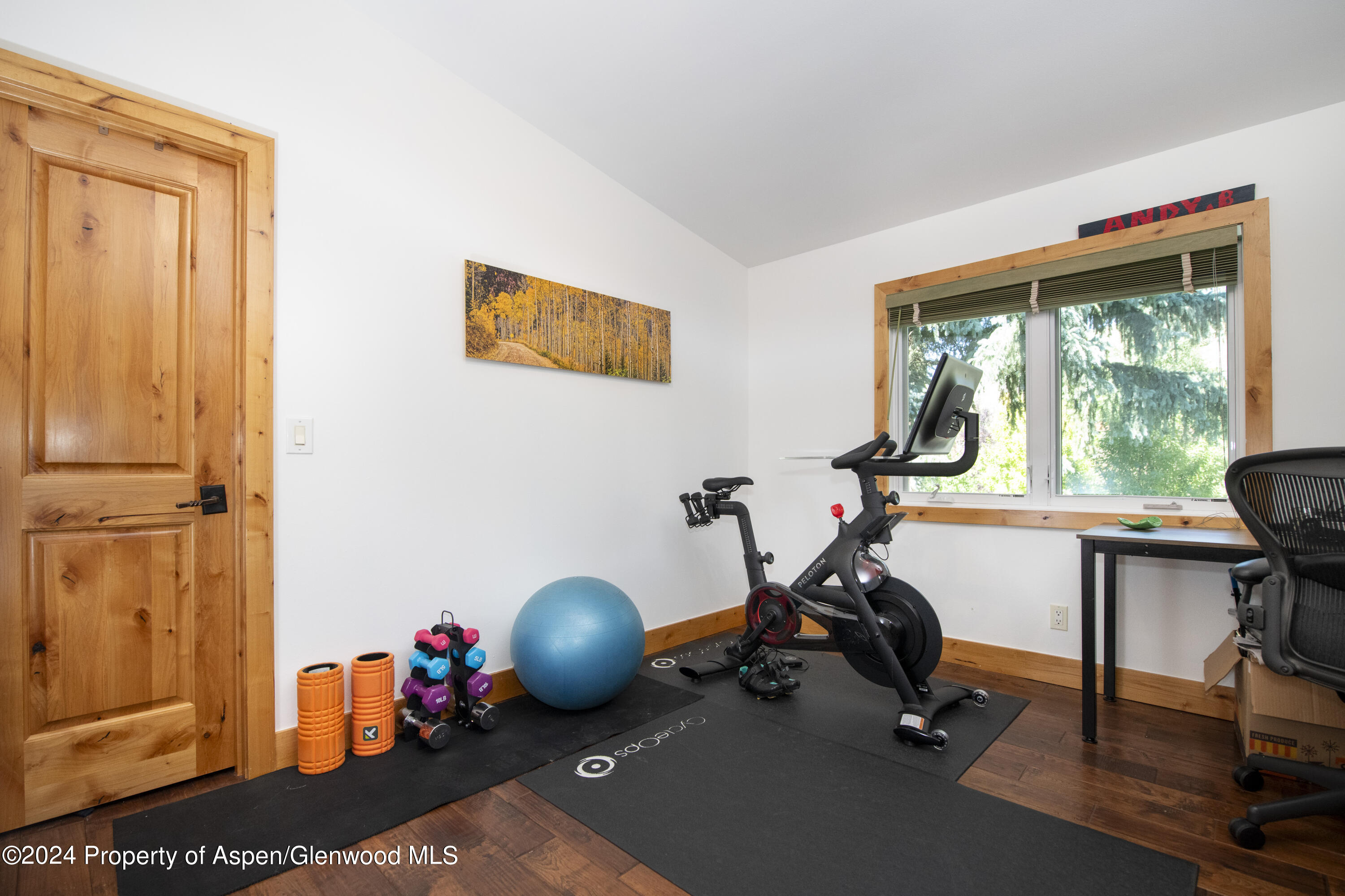 1325 Mountain View Drive Aspen, CO 81611 - Photo 11 of 26 a view of a room with gym equipment