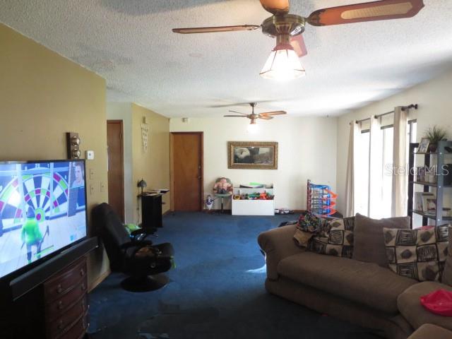 370 Race Track Road South Oldsmar, FL 34677 - Photo 16 of 33 The family room had 2 ceiling fans, 2 sets of sliders and a door to the garage.