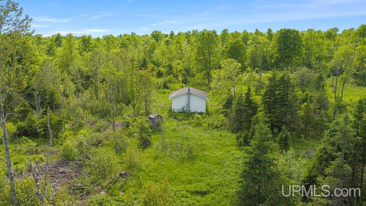 8789 38 Road Rapid River, MI 49878 - Photo 9 of 23