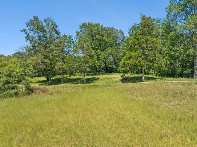 a view of a yard with a tree