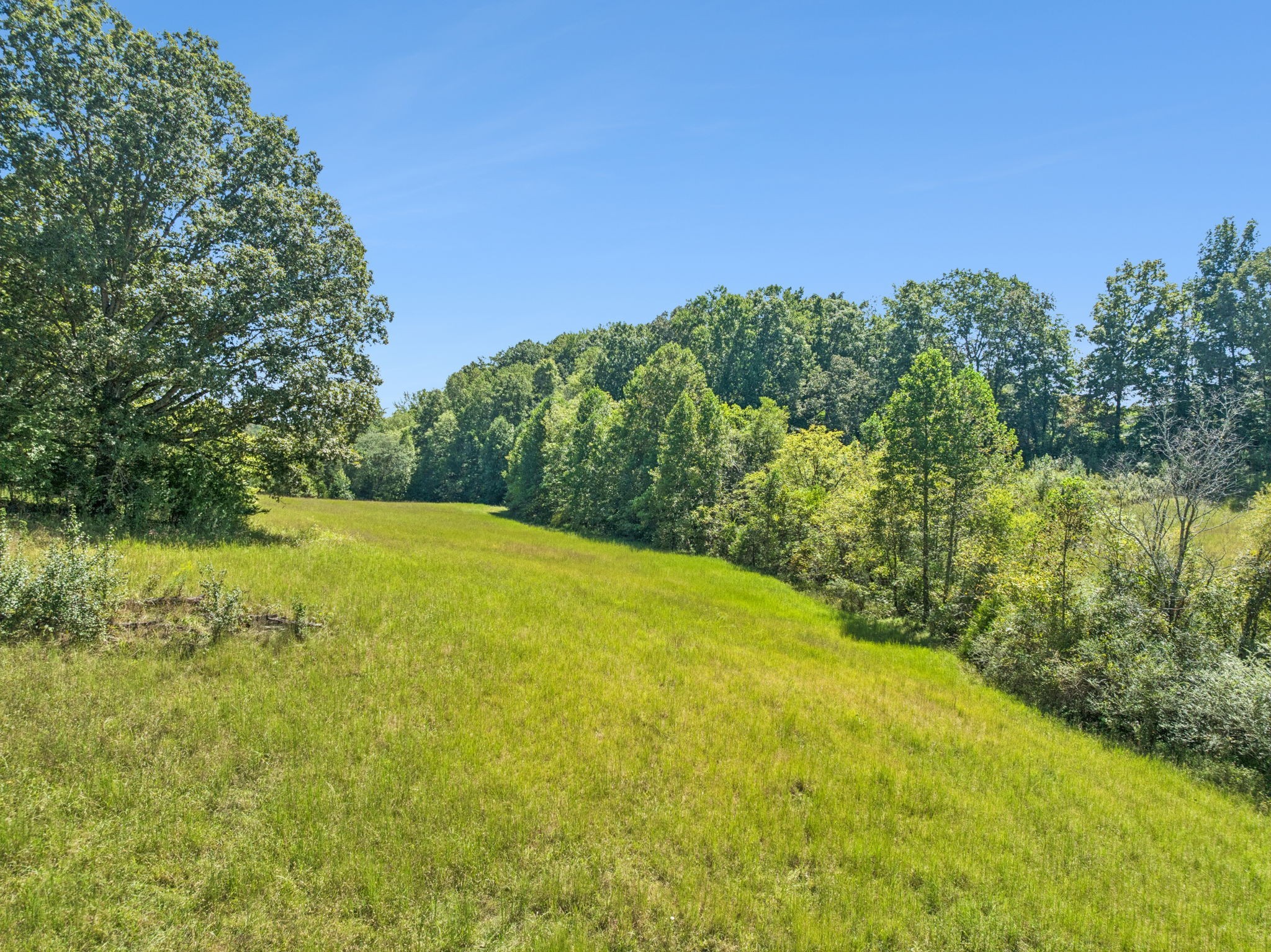 8272 Burgess Falls Road Baxter, TN 38544 - Photo 24 of 41 a view of a yard with a tree