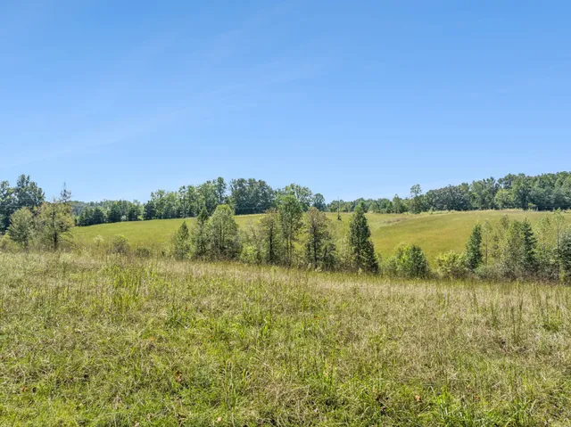 a view of a lake with houses