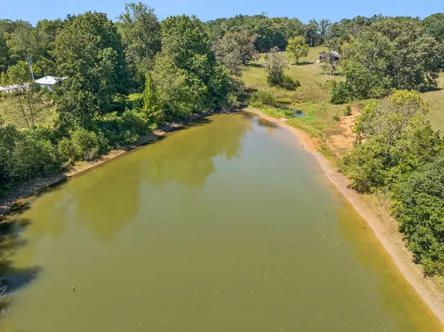 a view of a yard with trees