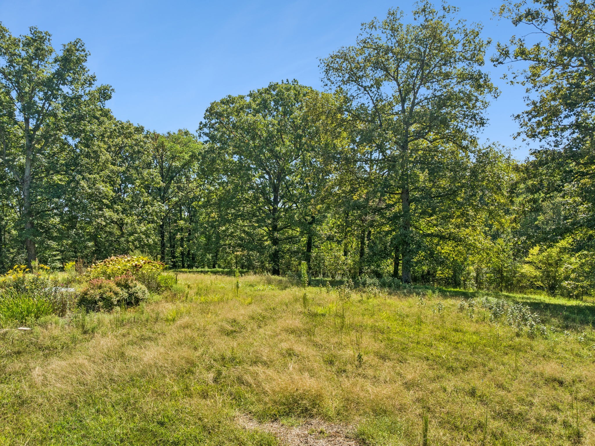 8272 Burgess Falls Road Baxter, TN 38544 - Photo 40 of 41 a view of outdoor space and yard
