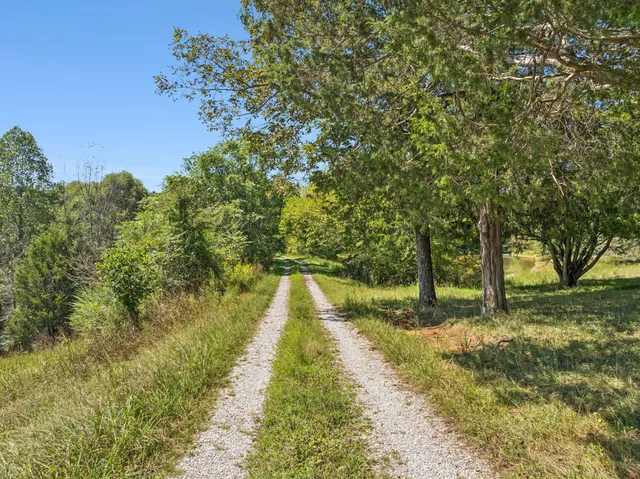 a view of a swimming pool with an outdoor seating and yard