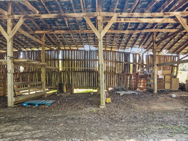a view of a garden with plants