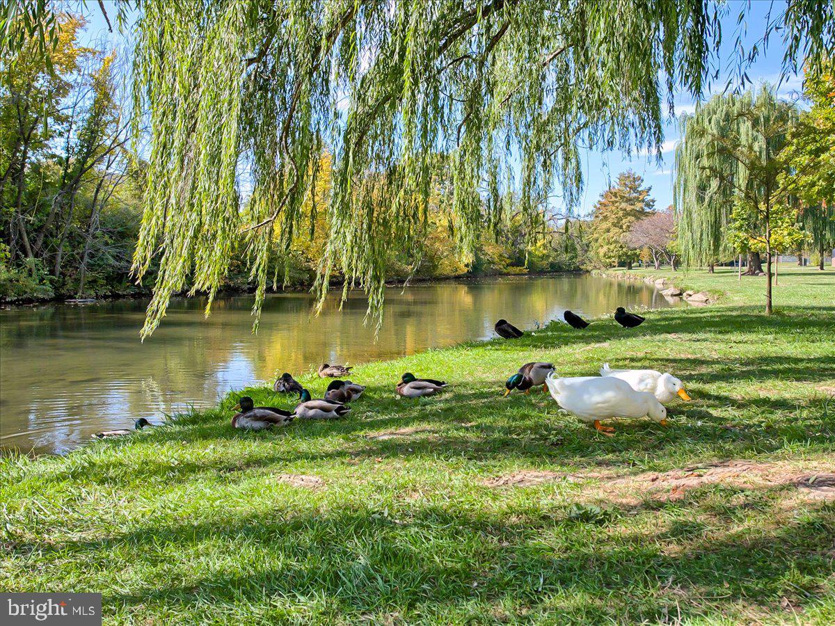 615 Blandwood Road Frederick, MD 21701 - Photo 75 of 80 Frederick