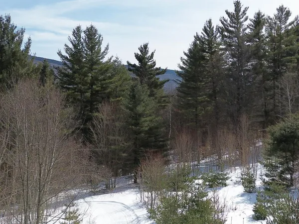 $800,000 | 0 Fuller Hill Road, Unit 2, Warren, VT 05674