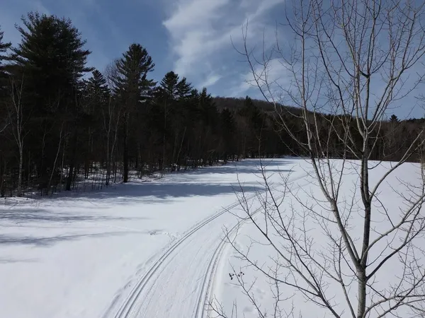 $800,000 | 0 Fuller Hill Road, Unit 2, Warren, VT 05674