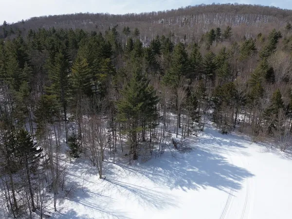 $800,000 | 0 Fuller Hill Road, Unit 2, Warren, VT 05674