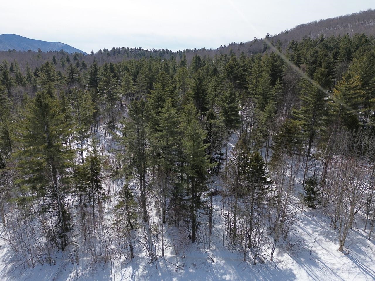 0 Fuller Hill Road, Unit 2 Warren, VT 05674 - Photo 17 of 21