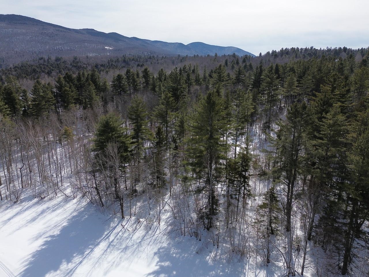 0 Fuller Hill Road, Unit 2 Warren, VT 05674 - Photo 18 of 21