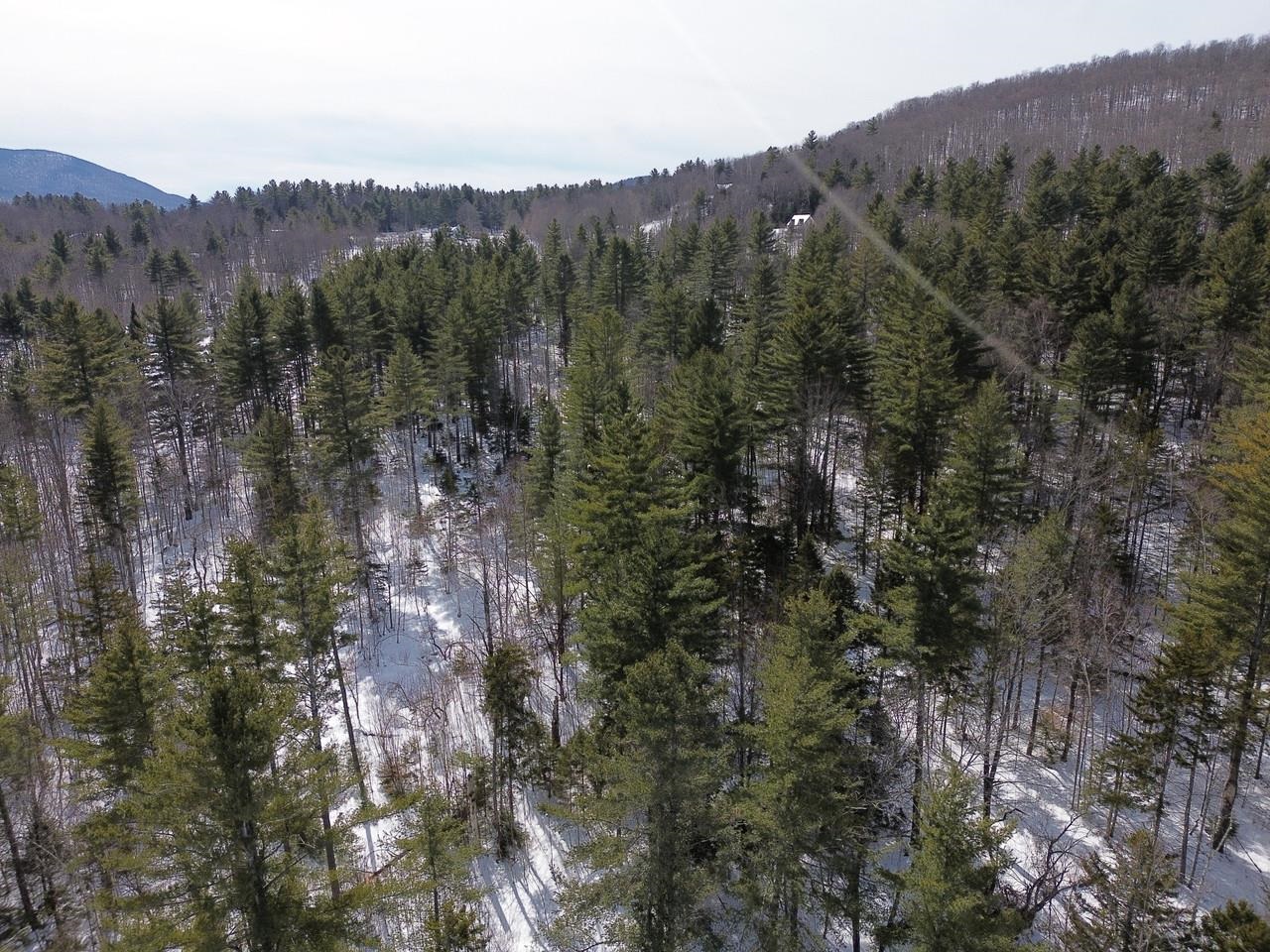 0 Fuller Hill Road, Unit 2 Warren, VT 05674 - Photo 19 of 21